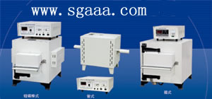 SXϵ����ʽ���t