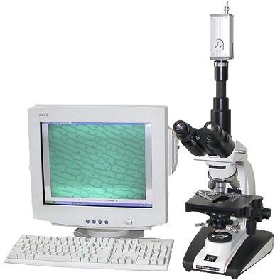 �����@΢�R�r��