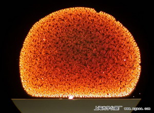 �@΢�R�µ�̼�{�׹�