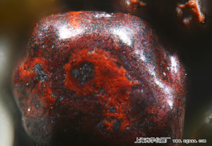 �@΢�R�µ�������ë���u�R�ɼ{�ɳ��