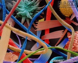 ����@΢�R-�҉m