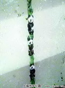 �@΢�R������؈1