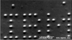 �@΢�R�¿������^С��ĸ