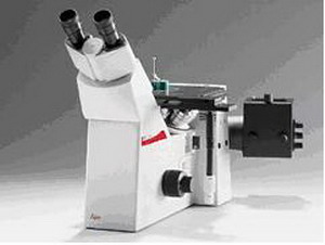 �W�ְ�˹�ɹ��@΢�R