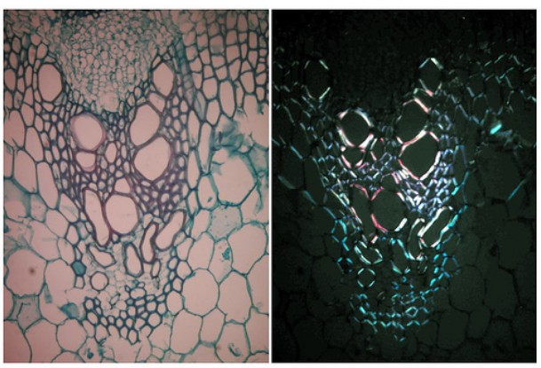 ƫ���@΢�R��(b��o)�r(ji��)