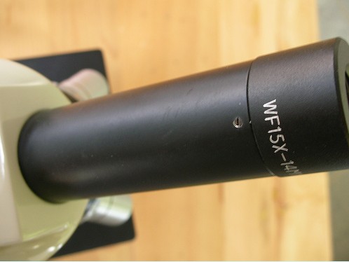 �Ϻ���W(xu��)�x���S