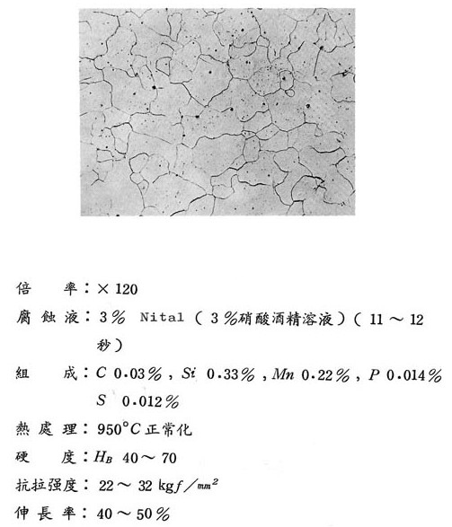 �F���w�@΢�R