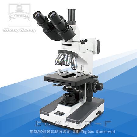 �����@΢�R6XD-3