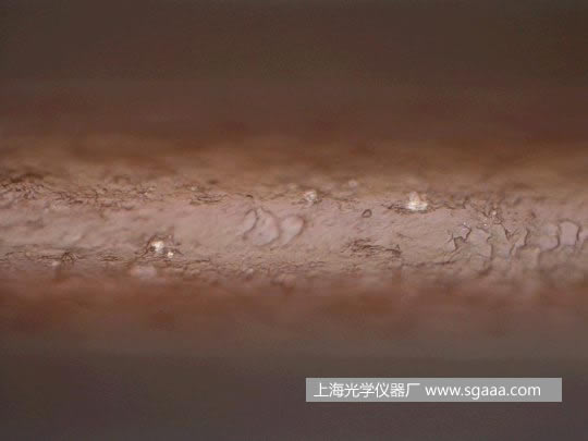 �@΢�R�¿����C��Ⱦ��p�����^�l(f��)