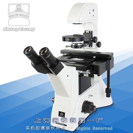 ���������@΢�R37XF